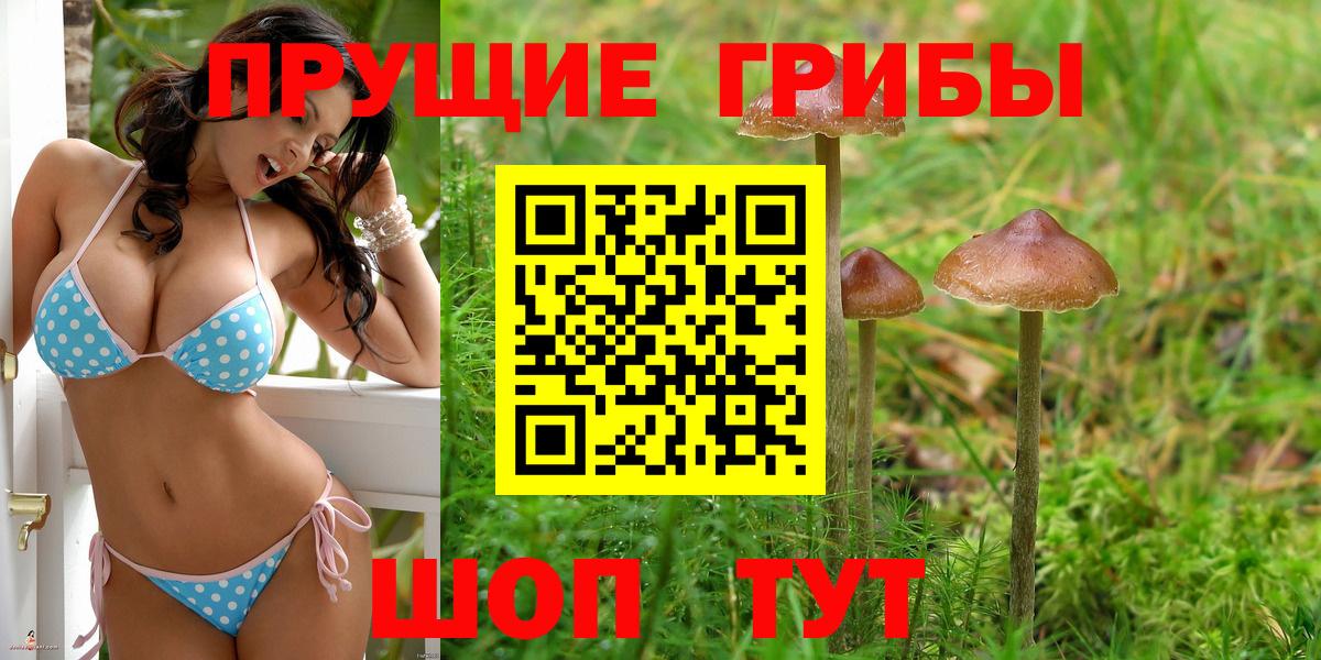 Елец  купить наркоту  Вход с VPN  Галлюциногенные грибы Psilocybine cubensis 